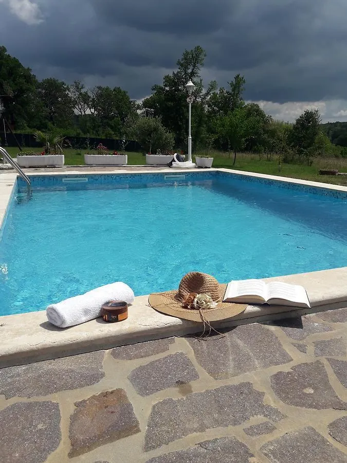 Vila Vesna Holiday home